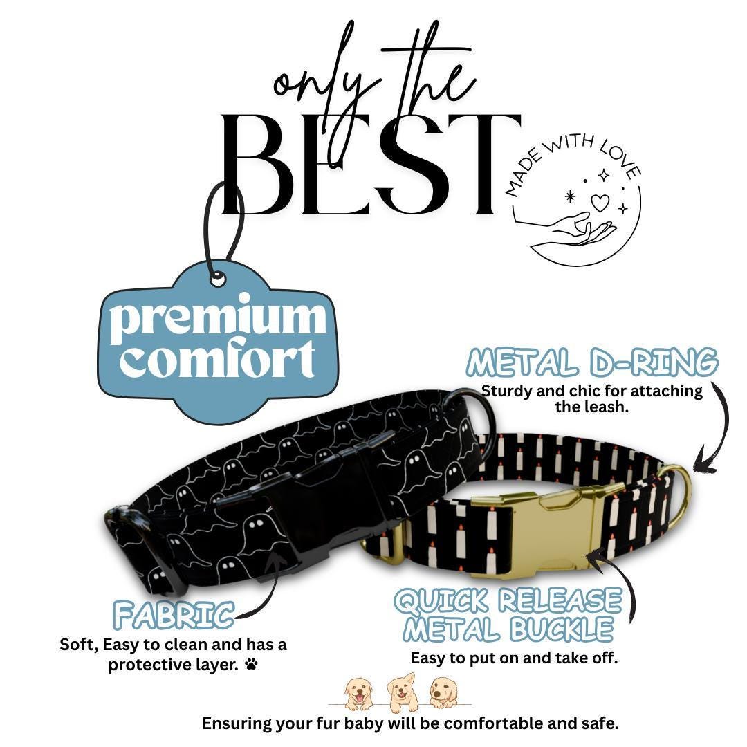 Personalized Spooky Season Dog Collar with Name Engraved Cute and Soft Adjustable Collar & Leash Set Black or Gold Buckle Dog Gift (OG-125)