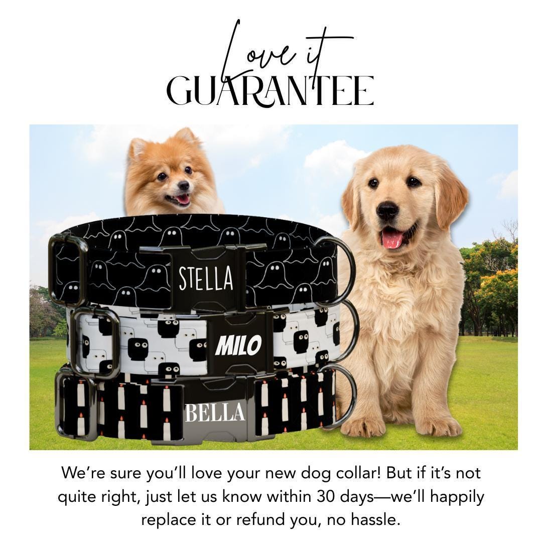 Personalized Spooky Season Dog Collar with Name Engraved Cute and Soft Adjustable Collar & Leash Set Black or Gold Buckle Dog Gift (OG-125)