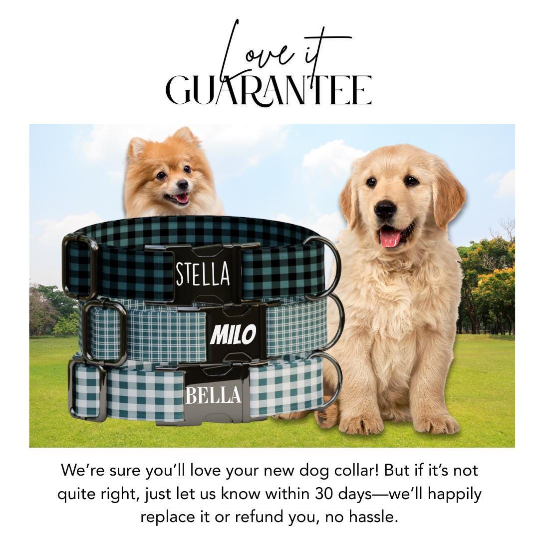 Personalized Luxury Black Gingham Dog Collar with Name Engraved, Cute and Soft Adjustable Collar & Leash Set Gingham Design Dog Gift (OG-56)
