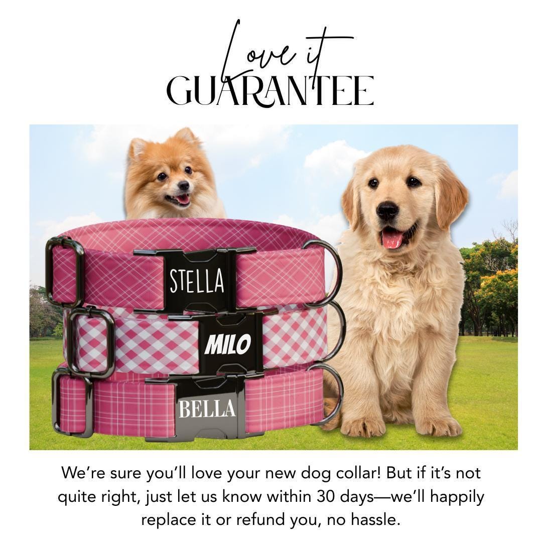Personalized Pink Checkered Dog Collar with Name Engraved, Cute and Soft Adjustable Collar & Leash Set Black or Gold Buckle Dog Gift (OG-29)