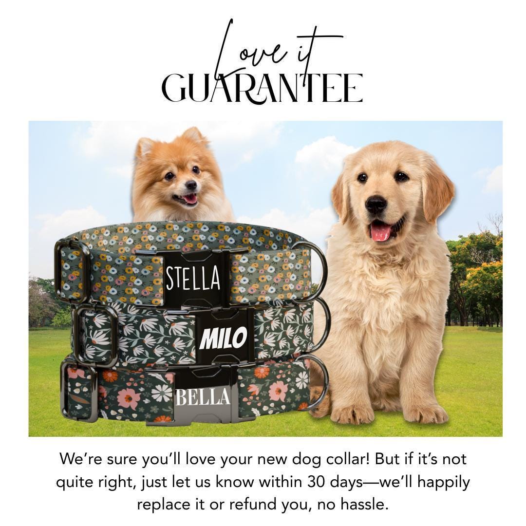Personalized Green Floral Dog Collar with Name Engraved, Cute and Soft Adjustable Collar & Leash Set, Black or Gold Buckle Dog Gift (OG-17)
