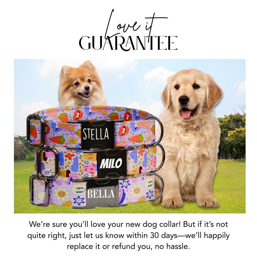 Personalized Retro Groovy Dog Collar with Name Engraved Cute & Soft Adjustable Collar Leash Set, Unique Funky Print Dog Tag Gift (OG-75)