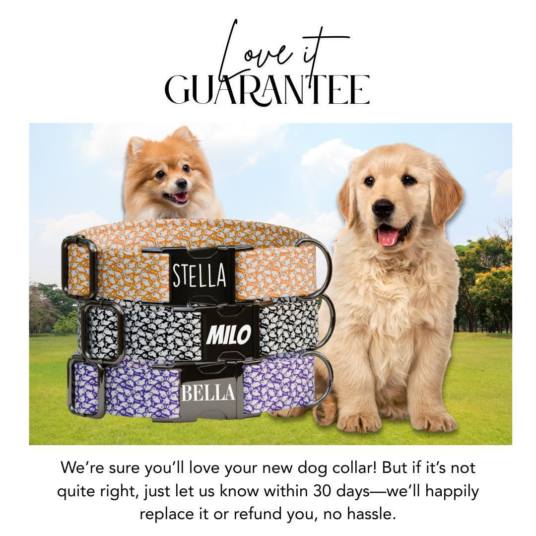 Personalized Halloween Dog Collar with Name Engraved, Cute and Soft Adjustable Fall Collar & Leash Set Black or Gold Buckle Dog Gift (OG-39)