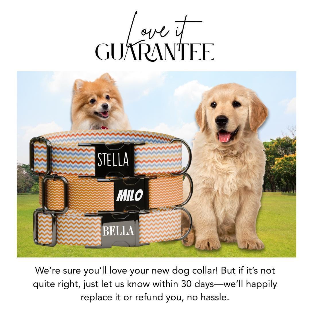 Personalized Chevron Pattern Dog Collar with Name Engraved Cute and Soft Adjustable Collar & Leash Set Black or Gold Buckle Dog Gift (OG-07)