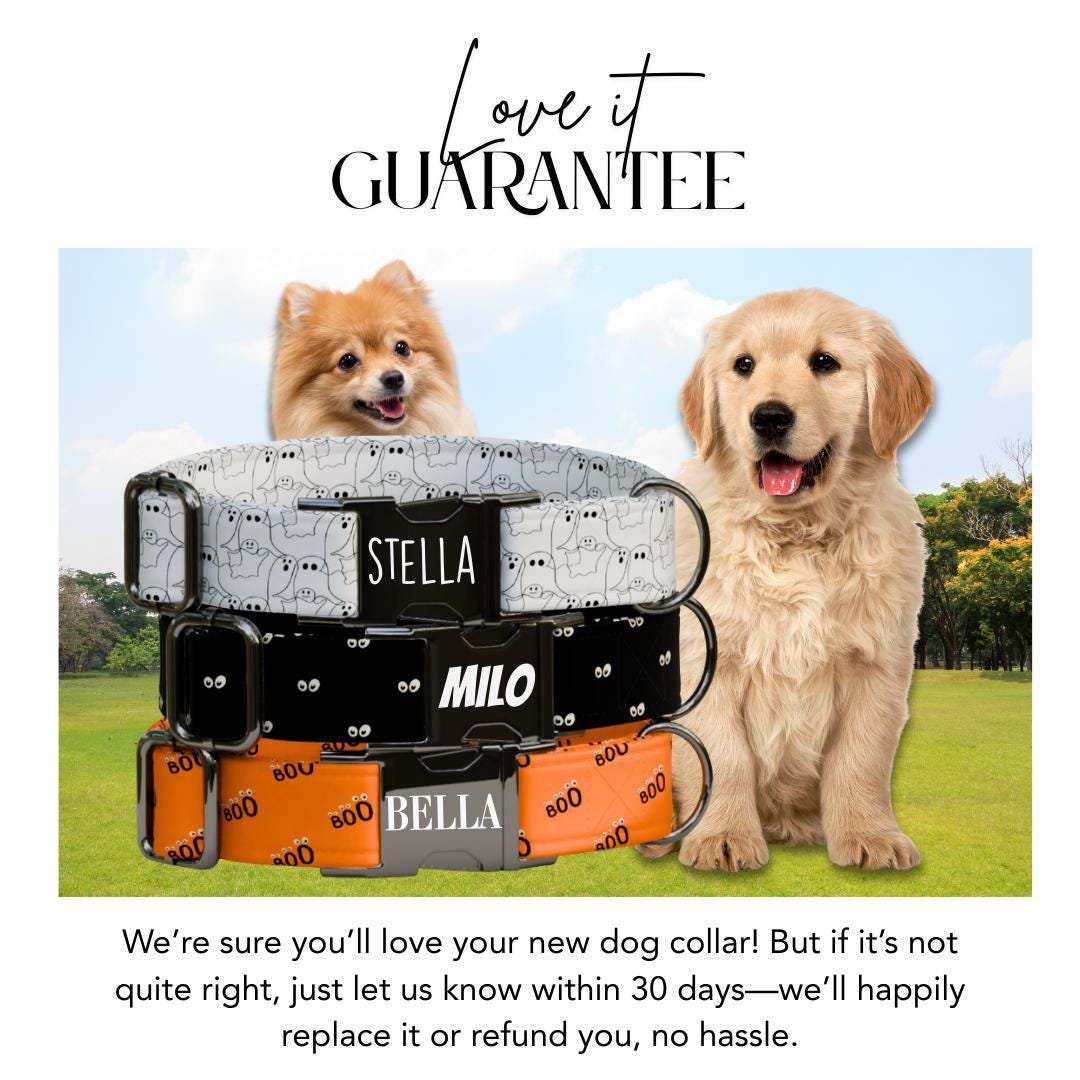 Personalized Spooky Dog Collar with Name Engraved Cute and Soft Fall Adjustable Collar & Leash Set Black or Gold Buckle Dog Gift (OG-123)