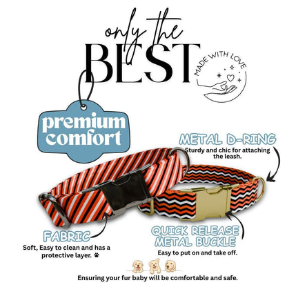 Personalized Halloween Dog Collar with Name Engraved Cute and Soft Fall Adjustable Collar & Leash Set Black or Gold Buckle Dog Gift (OG-119)