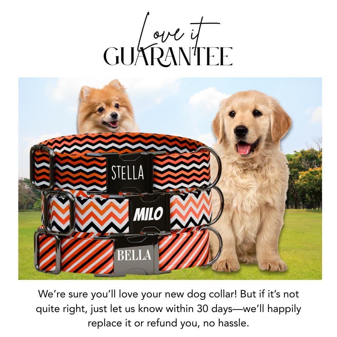 Personalized Halloween Dog Collar with Name Engraved Cute and Soft Fall Adjustable Collar & Leash Set Black or Gold Buckle Dog Gift (OG-119)