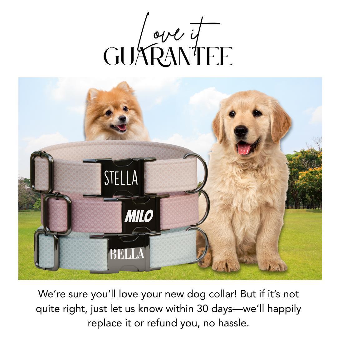 Personalized Pastel Charm Dog Collar with Name Engraved, Cute and Soft Adjustable Collar & Leash Set, Black Gold Buckle Dog Gift (OG-15)