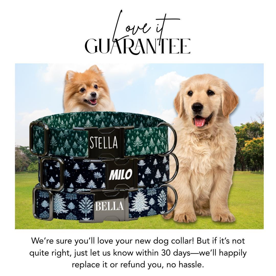 Personalized Winter Pines Dog Collar with Name Engraved, Cute and Soft Adjustable Collar & Leash Set, Forest Tree Design, Dog Gift (OG-58)
