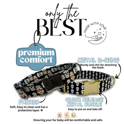Personalized Skeleton Dog Collar with Name Engraved Cute and Soft Skull Adjustable Collar & Leash Set Black or Gold Buckle Dog Gift (OG-95)