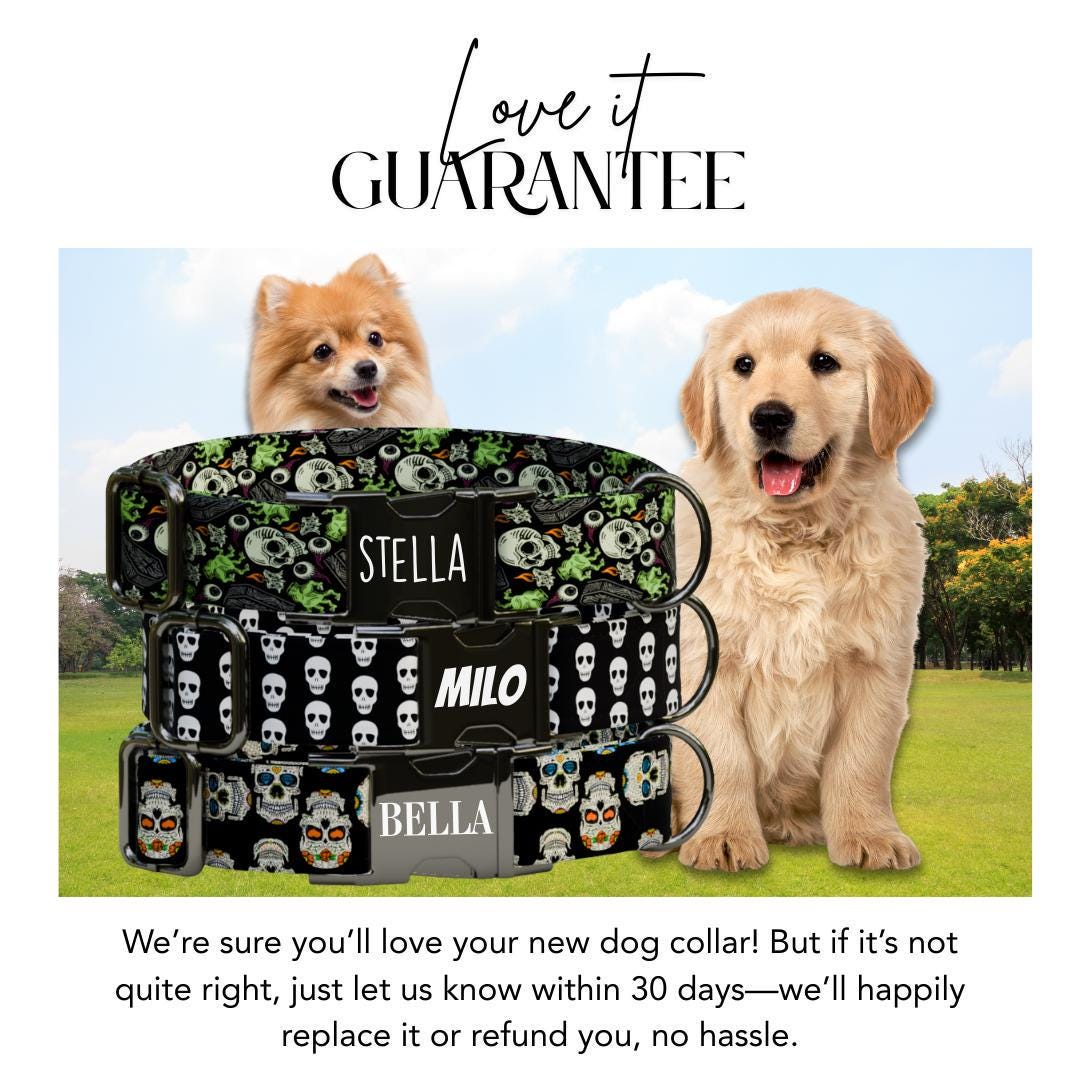 Personalized Skeleton Dog Collar with Name Engraved Cute and Soft Skull Adjustable Collar & Leash Set Black or Gold Buckle Dog Gift (OG-95)