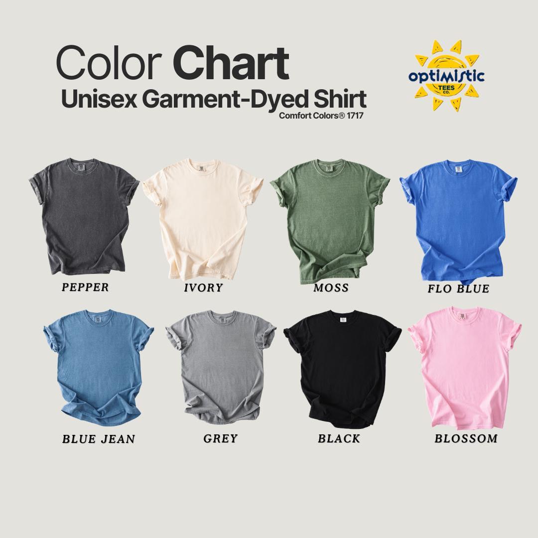 Assistant Principal T-Shirt, Comfort Colors, Custom Teacher Shirt, Cute Teacher Gift, Back to School Tee, Classroom Apparel, Teacher Shirt