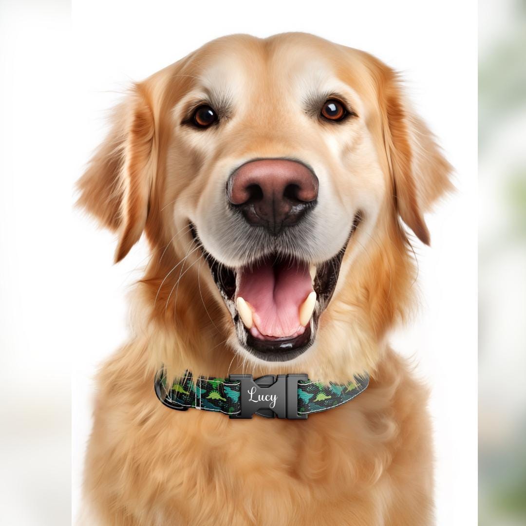 Personalized Dinosaur Dog Collar with Name Engraved Cute and Soft Dino Adjustable Collar & Leash Set Black or Gold Buckle Dog Gift (OG-96)