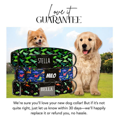 Personalized Dinosaur Dog Collar with Name Engraved Cute and Soft Dino Adjustable Collar & Leash Set Black or Gold Buckle Dog Gift (OG-96)