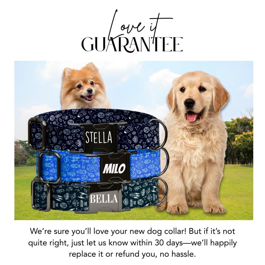 Personalized Space Rockets Dog Collar with Name Engraved Cute & Soft Adjustable Collar Leash Set Unique Astronaut Pet Dog Tag Gift (OG-76)