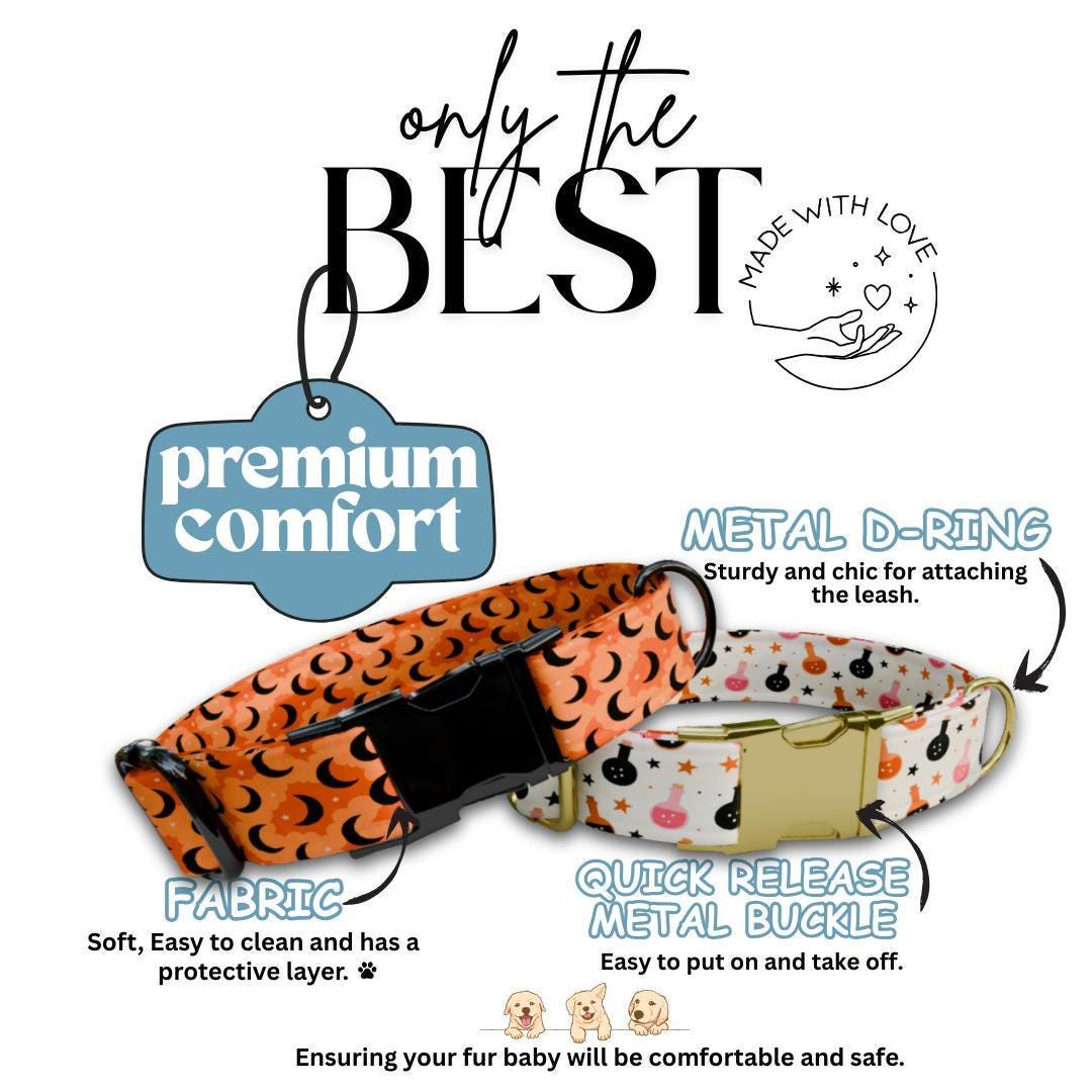 Personalized Halloween Dog Collar with Name Engraved Cute and Soft Fall Adjustable Collar & Leash Set Black or Gold Buckle Dog Gift (OG-127)