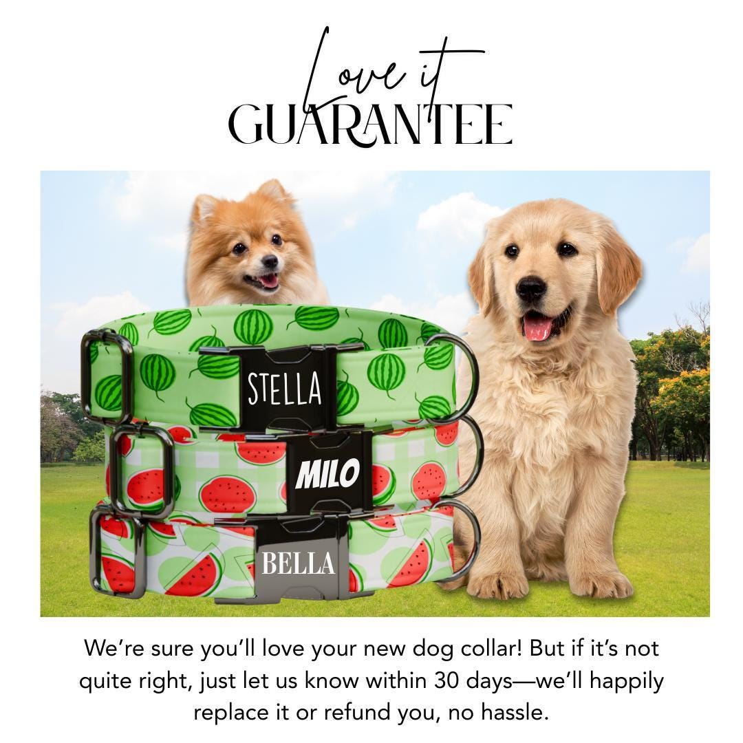 Personalized Watermelon Dog Collar with Name Engraved Cute & Soft Adjustable Collar Leash Set Unique Watermelon Print Dog Tag Gift (OG-84)