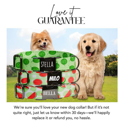 Personalized Watermelon Dog Collar with Name Engraved Cute & Soft Adjustable Collar Leash Set Unique Watermelon Print Dog Tag Gift (OG-84)