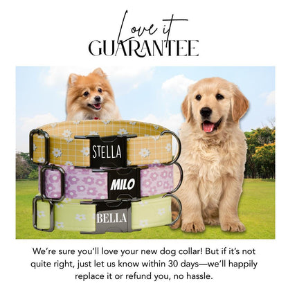 Personalized Daisy Floral Dog Collar with Name Engraved Cute & Soft Adjustable Collar Leash Set Unique Daisy Floral Pet Dog Tag Gift (OG-72)