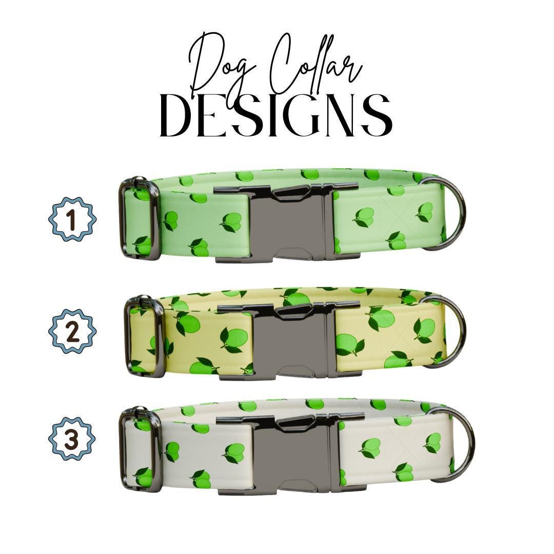 Personalized Lime Fruit Dog Collar with Name Engraved Cute & Soft Adjustable Collar Leash Set Unique Lime Fruit Print Dog Tag Gift (OG-86)