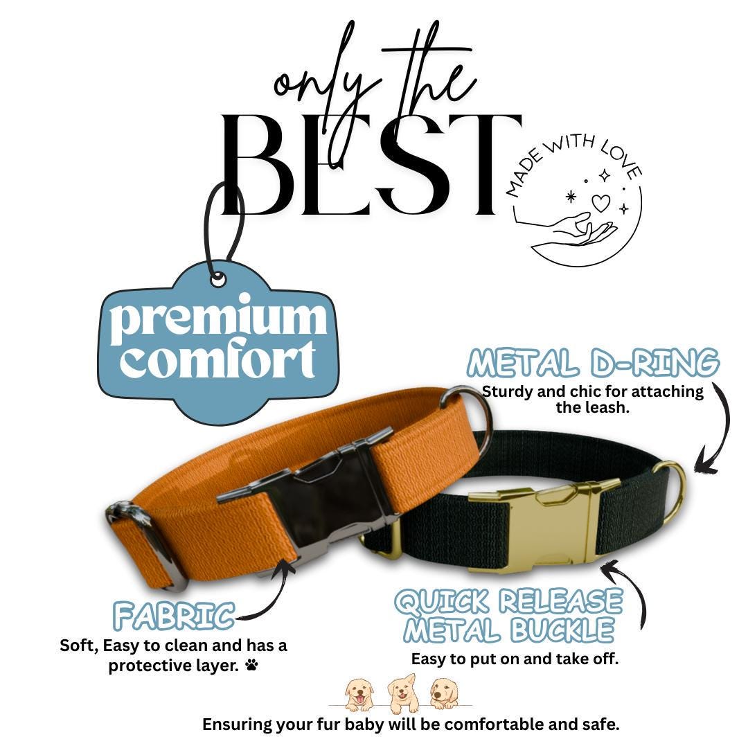 Personalized Rustic Plain Dog Collar with Name Engraved, Cute and Soft Adjustable Collar & Leash Set, Black or Gold Buckle Dog Gift (OG-14)