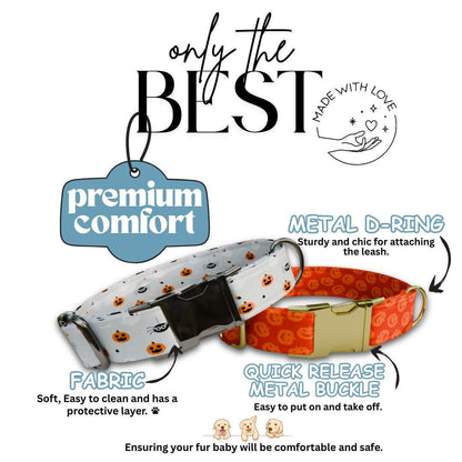 Personalized Halloween Dog Collar with Name Engraved Cute and Soft Fall Adjustable Collar & Leash Set Black or Gold Buckle Dog Gift (OG-129)