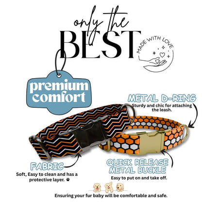 Personalized Spook-tacular Halloween Dog Collar with Name Engraved Cute and Soft Adjustable Collar & Leash Set, Pet ID Tag Dog Gift (OG-140)