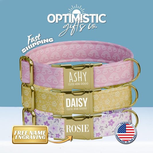 Personalized Floral and Rainbow Dog Collar with Name Engraved Cute & Soft Adjustable Collar Leash Set Unique Pastel Pet Dog Tag Gift (OG-80)