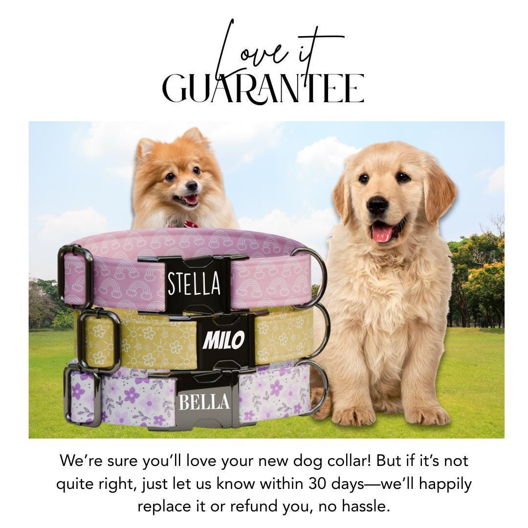 Personalized Floral and Rainbow Dog Collar with Name Engraved Cute & Soft Adjustable Collar Leash Set Unique Pastel Pet Dog Tag Gift (OG-80)