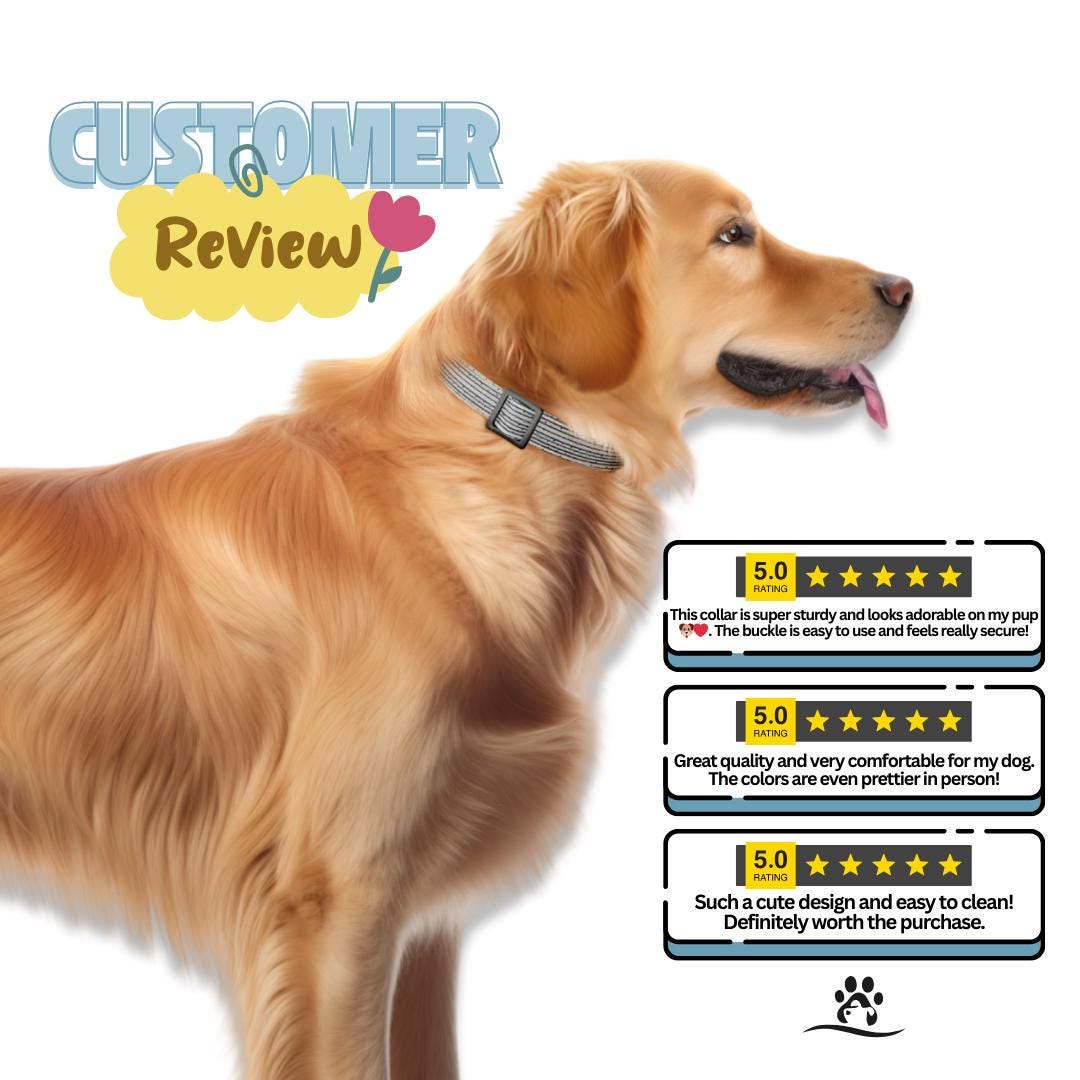 Personalized US Patriotic Dog Collar with Name Engraved Cute & Soft Adjustable Collar Leash Set Unique Star Striped Pet Dog Tag Gift (OG-82)