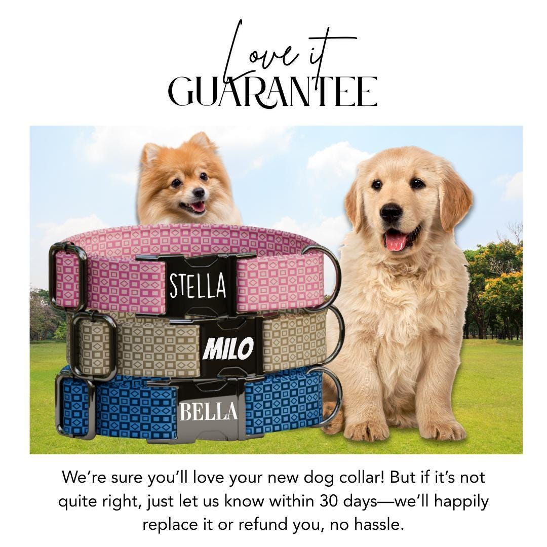 Personalized Modern Geometric Dog Collar with Name Engraved, Cute and Soft Adjustable Collar & Leash Set, Black Gold Buckle Dog Gift (OG-13)