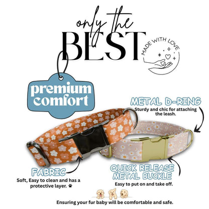 Personalized Orange Floral Dog Collar with Name Engraved Cute and Soft Adjustable Collar & Leash Set, Black or Gold Buckle Dog Gift (OG-110)