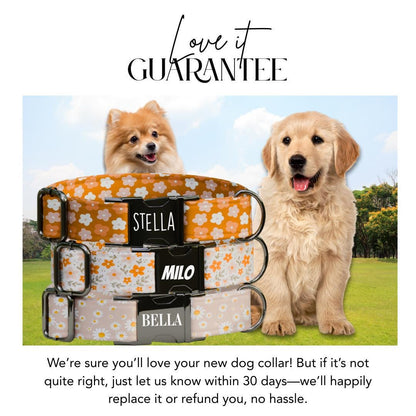 Personalized Orange Floral Dog Collar with Name Engraved Cute and Soft Adjustable Collar & Leash Set, Black or Gold Buckle Dog Gift (OG-110)