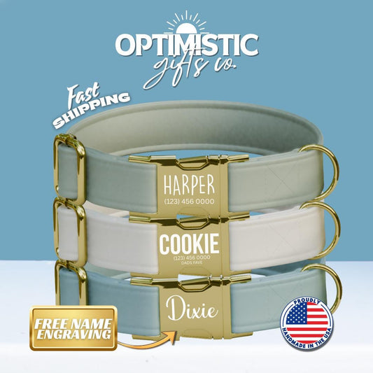 Personalized Multiple Luxe Velvet Dog Collar with Name Engraved, Cute and Soft Adjustable Collar & Leash Set, Wedding Dog Tag Gift (OG-49)