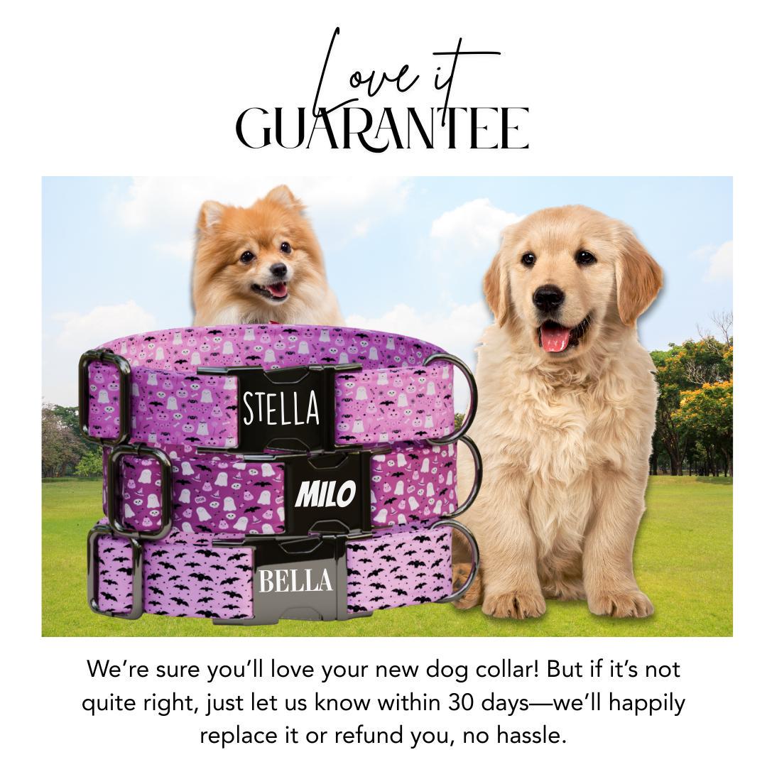 Personalized Halloween Dog Collar with Name Engraved, Cute and Soft Adjustable Pink Collar & Leash Set Black or Gold Buckle Dog Gift (OG-33)