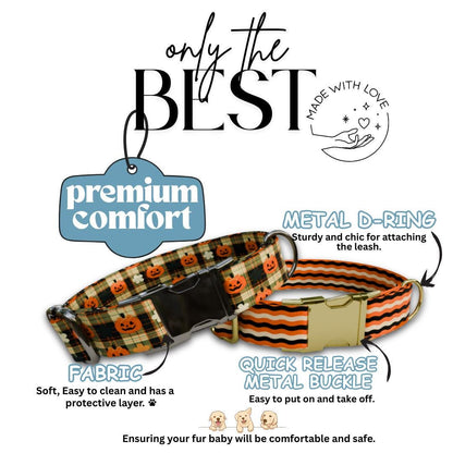 Personalized Halloween Dog Collar with Name Engraved Cute and Soft Fall Adjustable Collar & Leash Set Black or Gold Buckle Dog Gift (OG-126)