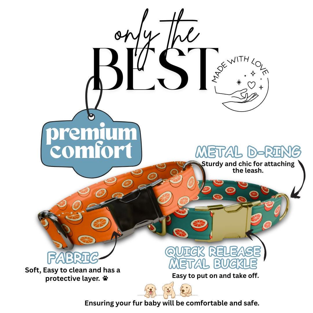 Personalized Orange Dog Collar with Name Engraved Cute and Soft Citrus Adjustable Collar & Leash Set Black or Gold Buckle Dog Gift (OG-104)