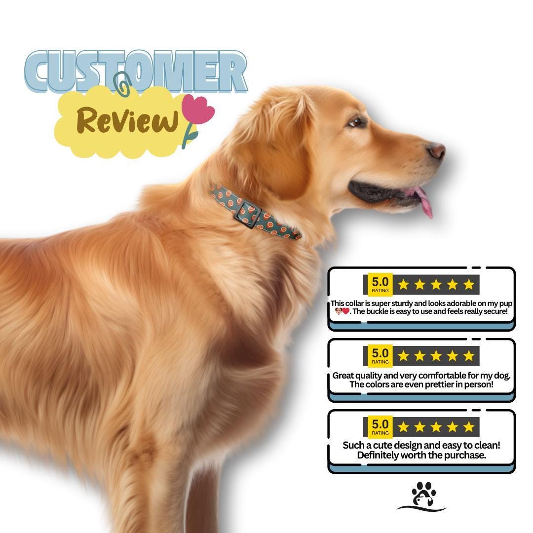 Personalized Orange Dog Collar with Name Engraved Cute and Soft Citrus Adjustable Collar & Leash Set Black or Gold Buckle Dog Gift (OG-104)