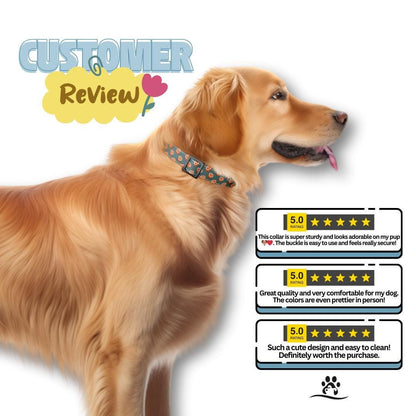 Personalized Orange Dog Collar with Name Engraved Cute and Soft Citrus Adjustable Collar & Leash Set Black or Gold Buckle Dog Gift (OG-104)