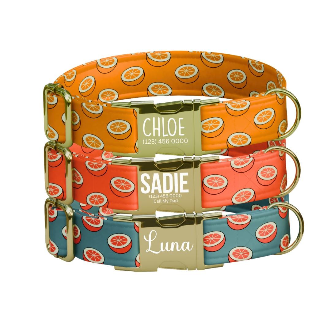 Personalized Orange Dog Collar with Name Engraved Cute and Soft Citrus Adjustable Collar & Leash Set Black or Gold Buckle Dog Gift (OG-104)