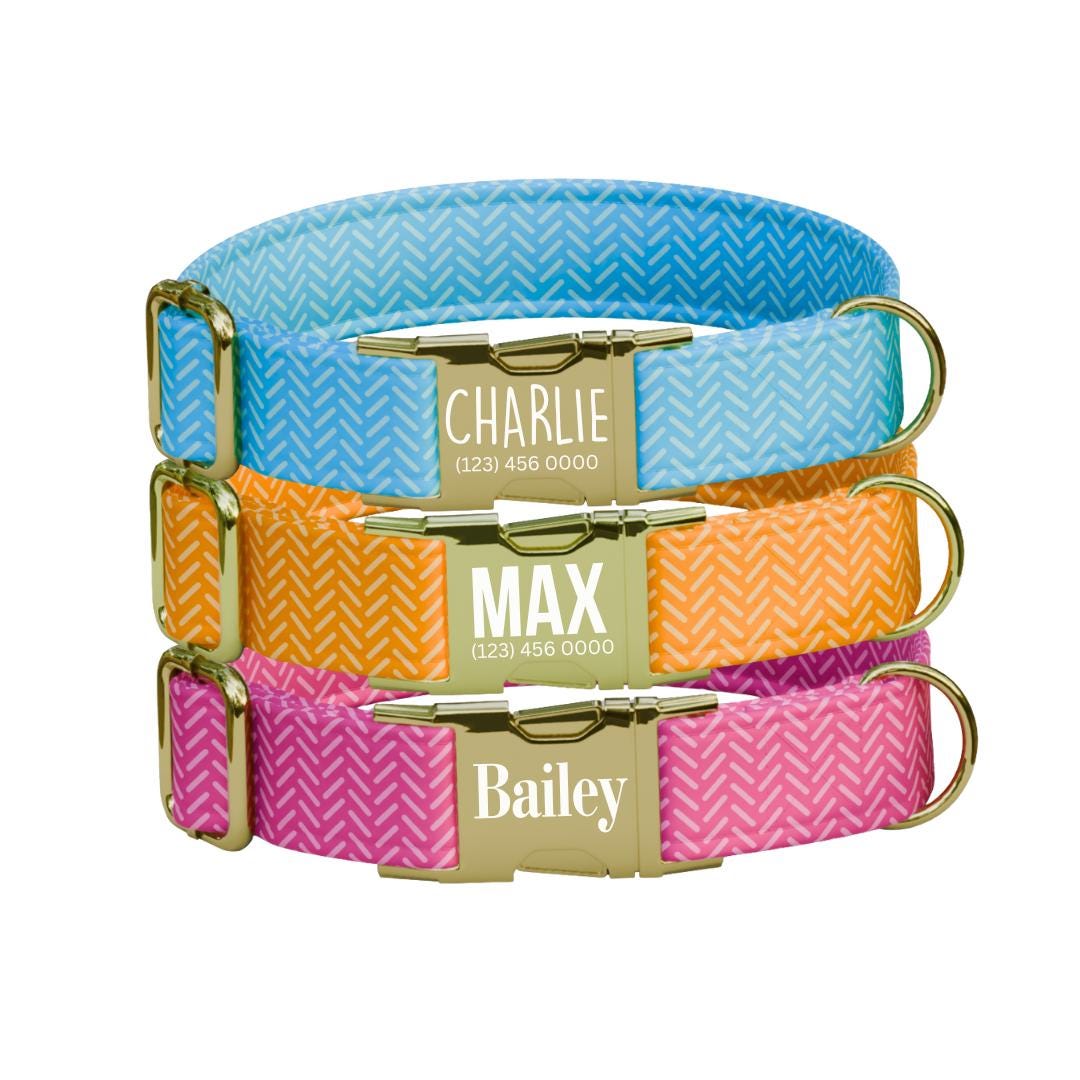 Personalized Chevron Pattern Dog Collar with Name Engraved Cute and Soft Adjustable Collar & Leash Set Black or Gold Buckle Dog Gift (OG-88)