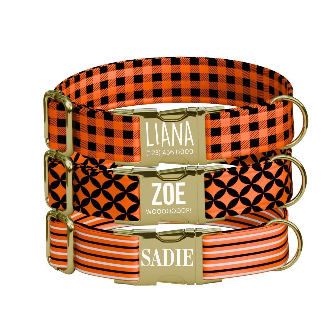 Personalized Halloween Dog Collar with Name Engraved Cute and Soft Fall Adjustable Collar & Leash Set Black or Gold Buckle Dog Gift (OG-121)