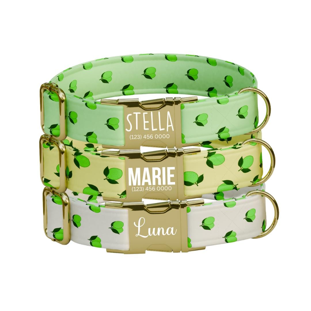 Personalized Lime Fruit Dog Collar with Name Engraved Cute & Soft Adjustable Collar Leash Set Unique Lime Fruit Print Dog Tag Gift (OG-86)