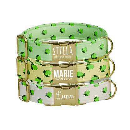 Personalized Lime Fruit Dog Collar with Name Engraved Cute & Soft Adjustable Collar Leash Set Unique Lime Fruit Print Dog Tag Gift (OG-86)