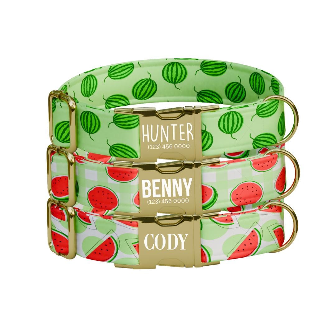 Personalized Watermelon Dog Collar with Name Engraved Cute & Soft Adjustable Collar Leash Set Unique Watermelon Print Dog Tag Gift (OG-84)