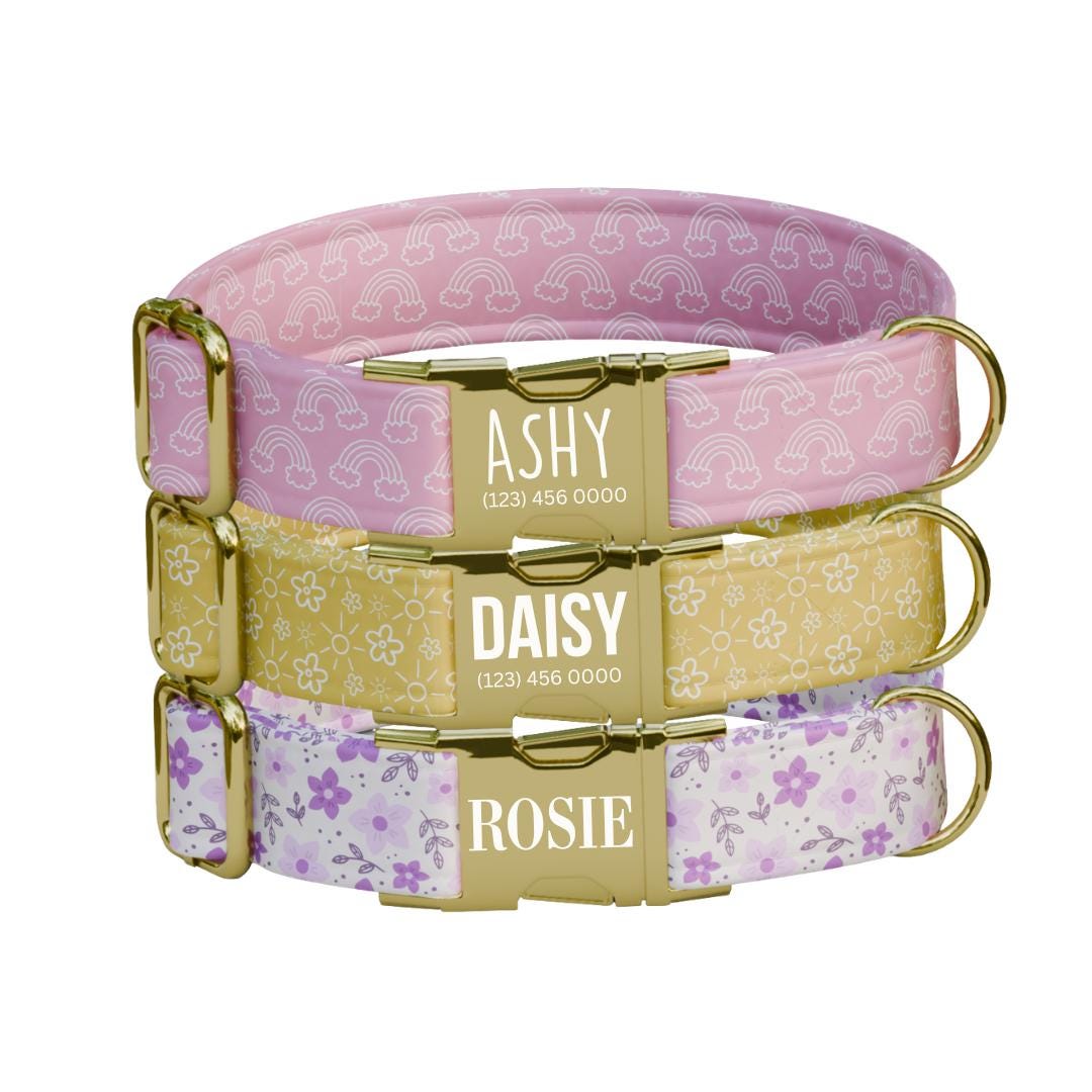 Personalized Floral and Rainbow Dog Collar with Name Engraved Cute & Soft Adjustable Collar Leash Set Unique Pastel Pet Dog Tag Gift (OG-80)