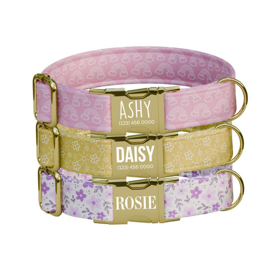 Personalized Floral and Rainbow Dog Collar with Name Engraved Cute & Soft Adjustable Collar Leash Set Unique Pastel Pet Dog Tag Gift (OG-80)