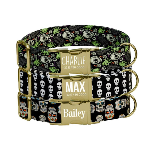 Personalized Skeleton Dog Collar with Name Engraved Cute and Soft Skull Adjustable Collar & Leash Set Black or Gold Buckle Dog Gift (OG-95)