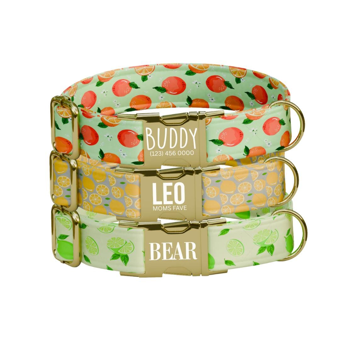 Personalized Citrus Fruit Dog Collar with Name Engraved Cute & Soft Adjustable Collar Leash Set Unique Fun Fruit Print Dog Tag Gift (OG-71)