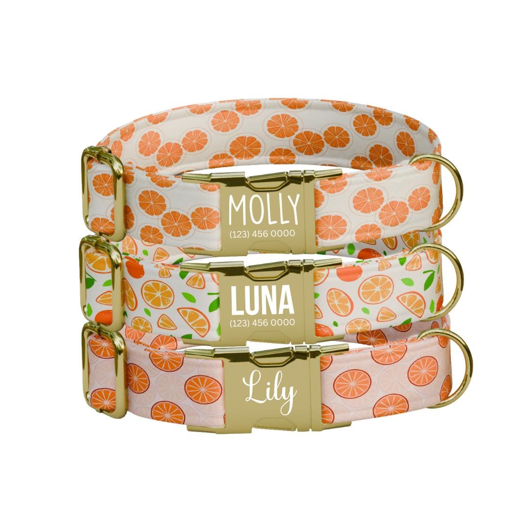 Personalized Orange Dog Collar with Name Engraved Cute & Soft Citrus Adjustable Collar Leash Set Unique Fun Fruit Print Dog Tag Gift (OG-69)